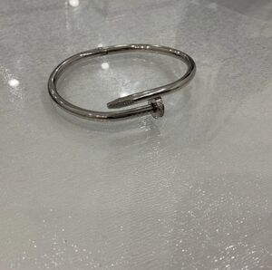 The bracelet Pandora
